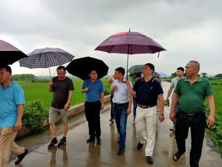 北京師范大學(xué)環(huán)境學(xué)院教授、博士生導(dǎo)師、濕地專家崔保山蒞臨?？谡{(diào)研濕地保護(hù)修復(fù)與合理利用工作